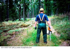 a-woodcutter-at-work-in-the-forest